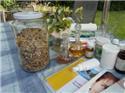 Veranstaltungsbild Naturkosmetik, Thema: Duschgel herstellen (11 -16 Jahre)